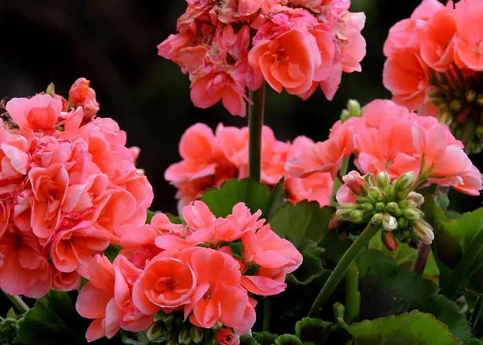 La Tavolozza Affittacamere