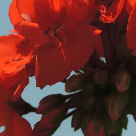 La Tavolozza Affittacamere 4*