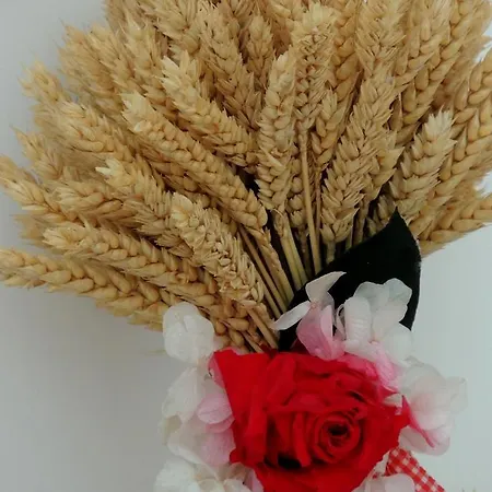 La Tavolozza 4* Positano