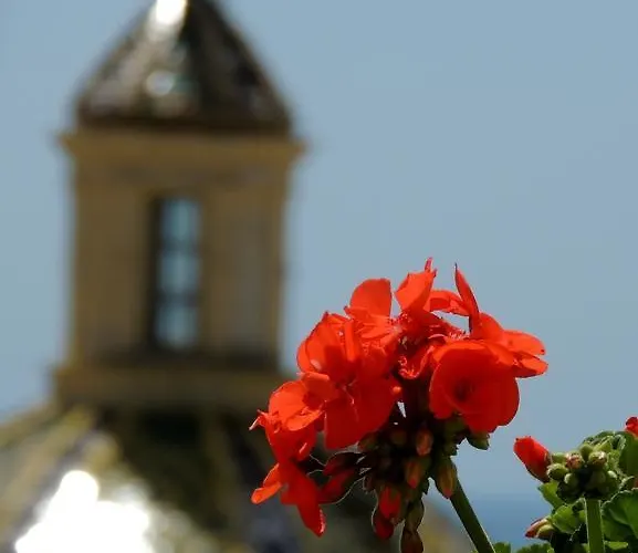 La Tavolozza Гостьовий будинок Позітано