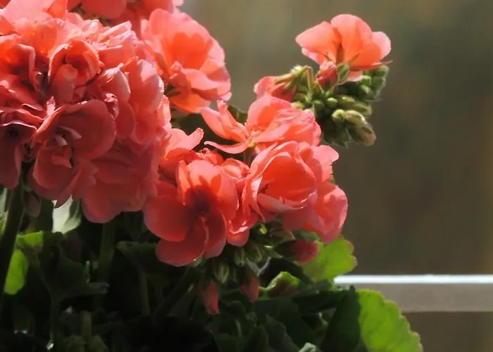 La Tavolozza Позітано