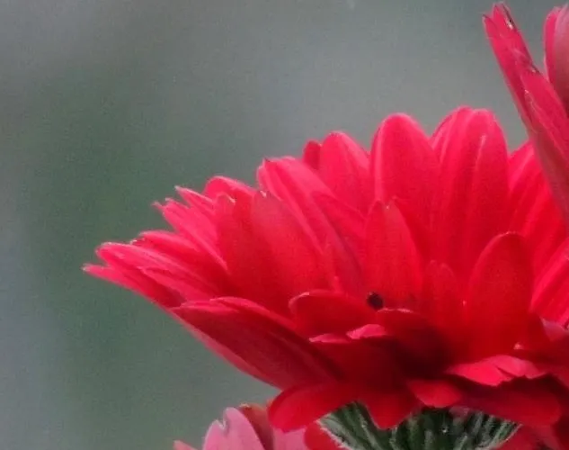 La Tavolozza Pensión 4*